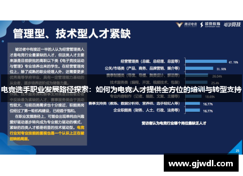电竞选手职业发展路径探索：如何为电竞人才提供全方位的培训与转型支持