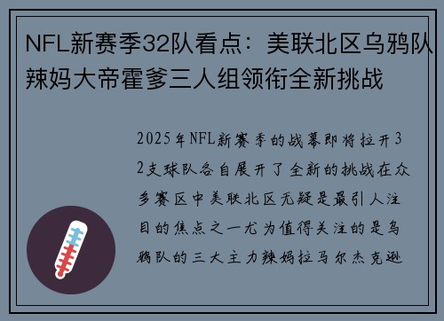 NFL新赛季32队看点：美联北区乌鸦队辣妈大帝霍爹三人组领衔全新挑战